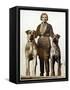 Sussex Canine Association Dog Show, Bognor Regis, Sussex, January 1934-null-Framed Stretched Canvas