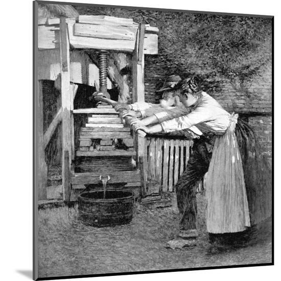 Art Print, , large