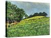 Sussex Copse-Anthony Amies-Stretched Canvas