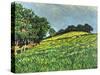 Sussex Copse-Anthony Amies-Stretched Canvas