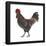 Sussex (Gallus Gallus Domesticus), Rooster, Poultry, Birds-Encyclopaedia Britannica-Framed Poster