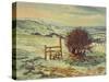 Sussex Stile, Winter, 1996-Robert Tyndall-Stretched Canvas