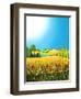 Sussex Wheatfields, 1995-Larry Smart-Framed Premium Giclee Print