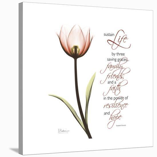 Sustain Life Tulip-Albert Koetsier-Stretched Canvas