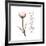 Sustain Life Tulip-Albert Koetsier-Framed Premium Giclee Print