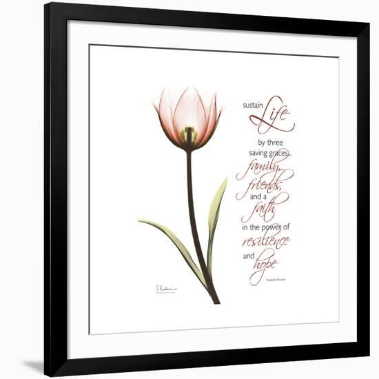 Sustain Life Tulip-Albert Koetsier-Framed Premium Giclee Print