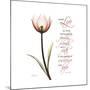 Sustain Life Tulip-Albert Koetsier-Mounted Premium Giclee Print