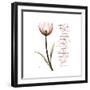 Sustain Life Tulip-Albert Koetsier-Framed Premium Giclee Print