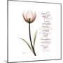 Sustain Life Tulip-Albert Koetsier-Mounted Premium Giclee Print