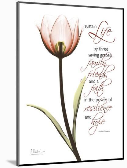 Sustain Life Tulip-Albert Koetsier-Mounted Art Print