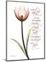 Sustain Life Tulip-Albert Koetsier-Mounted Art Print