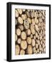 Sustainable Forestry Log Harvest, Dolomites, Rosengarten, South Tyrol, Italy-Martin Zwick-Framed Photographic Print