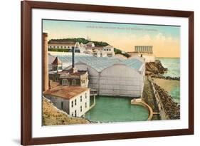 Sutro Baths, Cliff House, San Francisco, California-null-Framed Art Print