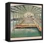 Sutro Baths, San Fransisco, C.1899-null-Framed Stretched Canvas