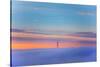 Sutro Tower Above the Fog - San Francisco, Golden Gate Bridge-Vincent James-Stretched Canvas