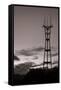 Sutro Tower in Black and White-Vincent James-Framed Stretched Canvas