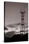 Sutro Tower in Black and White-Vincent James-Stretched Canvas