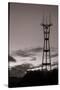 Sutro Tower in Black and White-Vincent James-Stretched Canvas