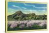 Sutter Buttes and Orchards in Bloom - Sutter Buttes, CA-Lantern Press-Stretched Canvas