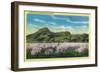 Sutter Buttes and Orchards in Bloom - Sutter Buttes, CA-Lantern Press-Framed Art Print