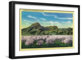 Sutter Buttes and Orchards in Bloom - Sutter Buttes, CA-Lantern Press-Framed Art Print