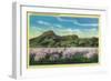 Sutter Buttes and Orchards in Bloom - Sutter Buttes, CA-Lantern Press-Framed Art Print