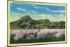 Sutter Buttes and Orchards in Bloom - Sutter Buttes, CA-Lantern Press-Mounted Art Print