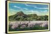 Sutter Buttes and Orchards in Bloom - Sutter Buttes, CA-Lantern Press-Framed Stretched Canvas