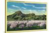 Sutter Buttes and Orchards in Bloom - Sutter Buttes, CA-Lantern Press-Stretched Canvas