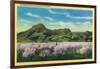 Sutter Buttes and Orchards in Bloom - Sutter Buttes, CA-Lantern Press-Framed Art Print