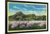 Sutter Buttes and Orchards in Bloom - Sutter Buttes, CA-Lantern Press-Framed Art Print