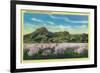 Sutter Buttes and Orchards in Bloom - Sutter Buttes, CA-Lantern Press-Framed Premium Giclee Print