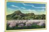 Sutter Buttes and Orchards in Bloom - Sutter Buttes, CA-Lantern Press-Mounted Premium Giclee Print