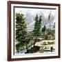 Sutter's Mill, Site of James Marshall's Discovery of Gold in California, c.1848-null-Framed Giclee Print