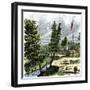 Sutter's Mill, Site of James Marshall's Discovery of Gold in California, c.1848-null-Framed Giclee Print