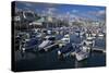 Sutton Harbour Marina, Plymouth, Devon, England, United Kingdom, Europe-Rob Cousins-Stretched Canvas