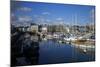 Sutton Harbour Marina, Plymouth, Devon, England, United Kingdom, Europe-Rob Cousins-Mounted Photographic Print