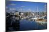 Sutton Harbour Marina, Plymouth, Devon, England, United Kingdom, Europe-Rob Cousins-Mounted Photographic Print