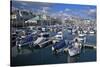 Sutton Harbour Marina, Plymouth, Devon, England, United Kingdom, Europe-Rob Cousins-Stretched Canvas