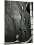 Sutton Place, New York, 1943-Brett Weston-Mounted Photographic Print