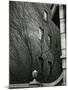 Sutton Place, New York, 1943-Brett Weston-Mounted Photographic Print