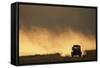 Suv Driving across Savanna-null-Framed Stretched Canvas