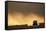 Suv Driving across Savanna-null-Framed Stretched Canvas