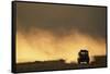 Suv Driving across Savanna-null-Framed Stretched Canvas