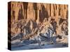 SUV Driving Through Valley of the Moon-Hubert Stadler-Stretched Canvas