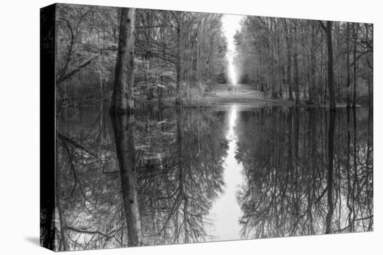 Suwanne Reflection Pano - BW-Moises Levy-Stretched Canvas