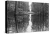 Suwanne Reflection Pano - BW-Moises Levy-Stretched Canvas