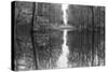 Suwanne Reflection Pano - BW-Moises Levy-Stretched Canvas