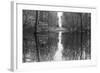 Suwanne Reflection Pano - BW-Moises Levy-Framed Photographic Print