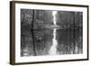 Suwanne Reflection Pano - BW-Moises Levy-Framed Photographic Print